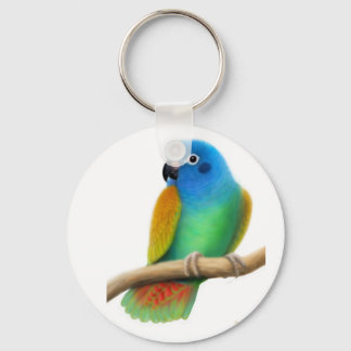 Chaveiro de Papagaio Pionus de Cabeça Azul