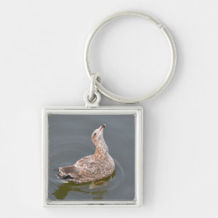 Chaveiro de Pato Cinto