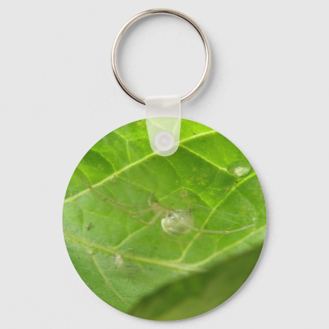 Chaveiro de Pequena Aranha (Frente)