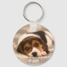 Chaveiro de Pet Personalizado - Fotografia e nome