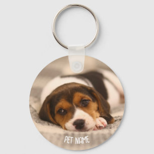 Chaveiro de Pet Personalizado - Fotografia e nome