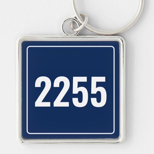 Chaveiro de Placa de Número de Veículo Personaliza (Frente)