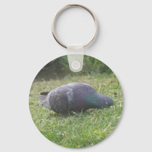Chaveiro de Pombo-de-Sono