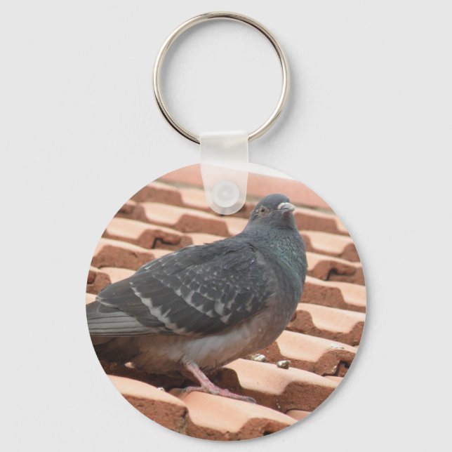 Chaveiro de Pombo de Telhado (Frente)