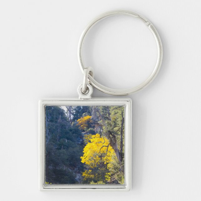 Chaveiro de queda 6 (Frente)