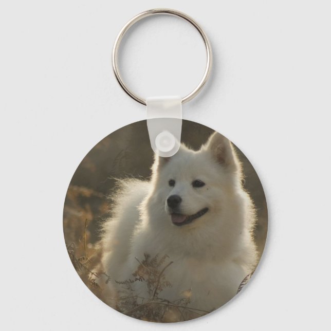 Chaveiro de Raça de Cachorro Samoyed (Frente)
