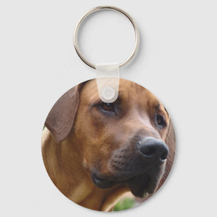 Chaveiro de Rhodesian Ridgeback