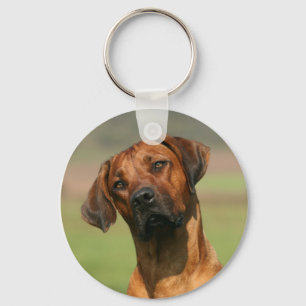 Chaveiro de Rhodesian Ridgeback