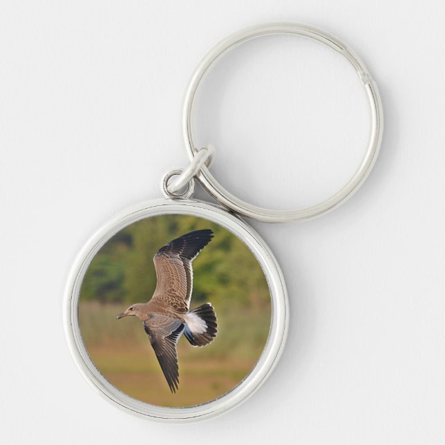 Chaveiro de Seagull (Frente)