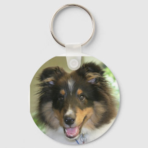 Chaveiro de Sheltie