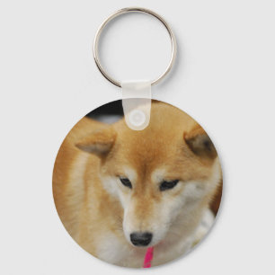 Chaveiro de Shiba Inu Cute