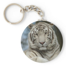 Chaveiro de Tigre Branco
