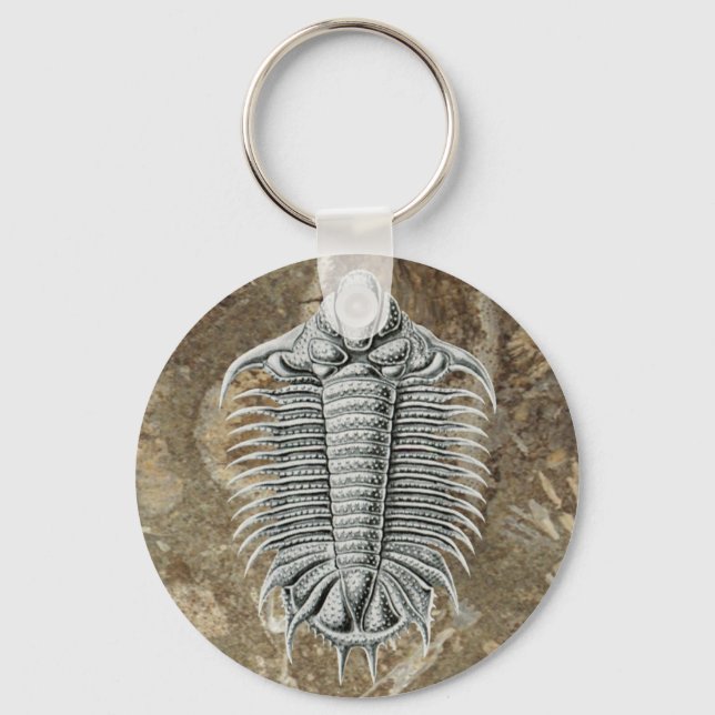 Chaveiro de trilobita (Frente)