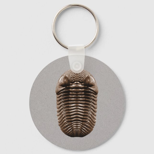 Chaveiro de trilobita (Frente)