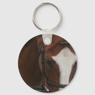 Chaveiro de um quarto do cavalo