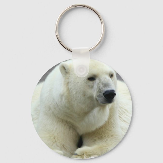 Chaveiro de Urso Polar (Frente)