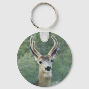 Chaveiro Deer