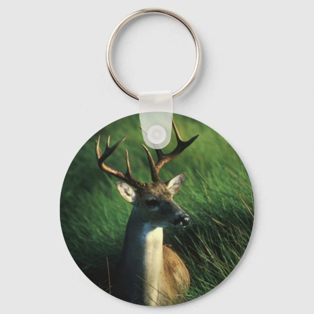 Chaveiro Deer / White Tailed Buck (Frente)