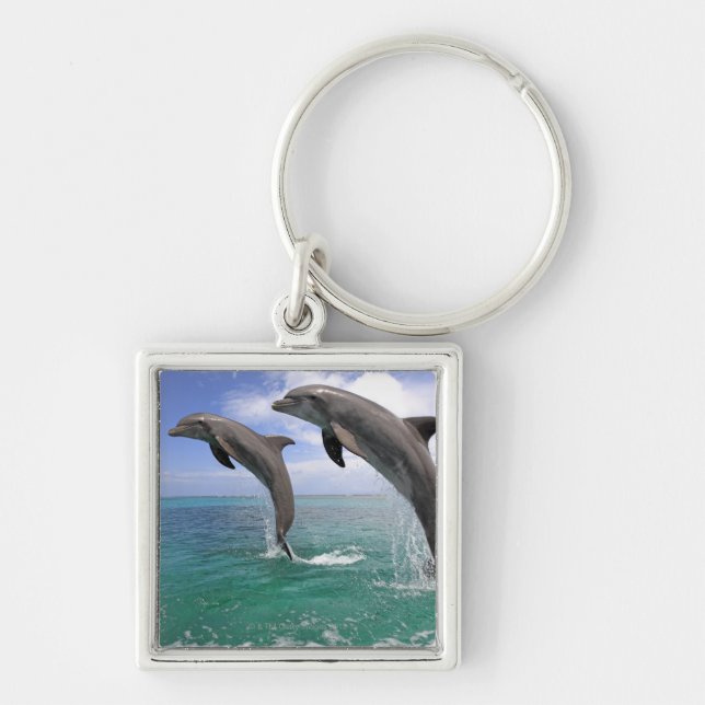 Chaveiro Delfin, Delfim, Tuemmler mais bruto, Tursiops 4 (Frente)