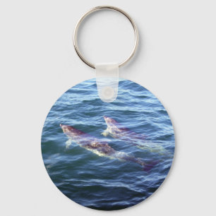 Chaveiro Delphis do Delphinus