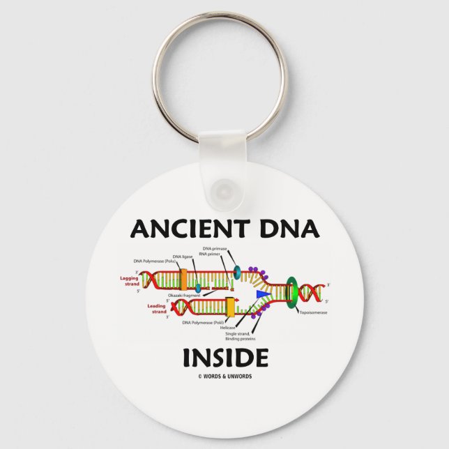 Chaveiro Dentro de DNA antigo (Humor de Replicação de DNA) (Frente)