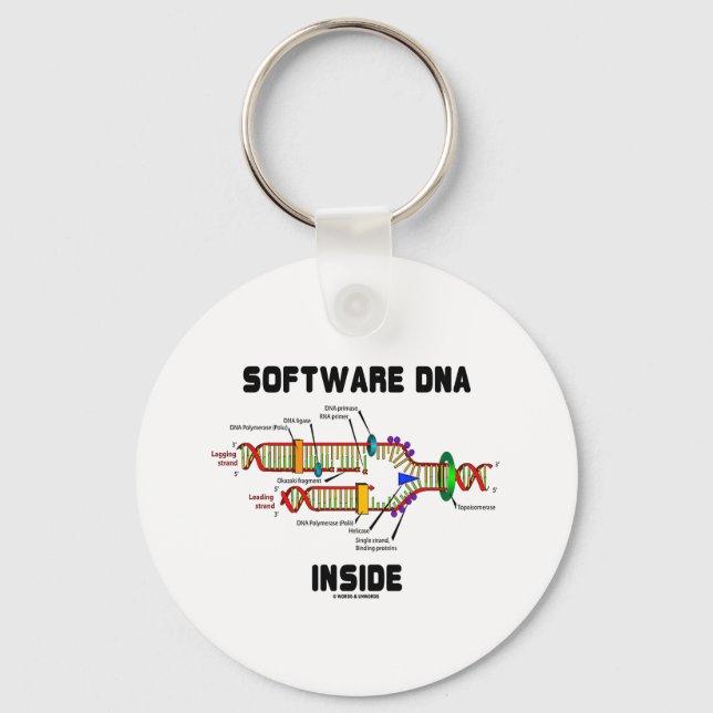 Chaveiro Dentro de DNA de software (Replicação de DNA) (Frente)