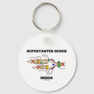 Chaveiro Dentro de Genes Supertaster (Replicação de DNA)