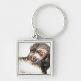 Chaveiro Desativar Imagem de Ferret