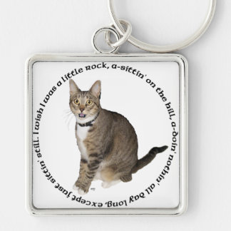 Chaveiro Desejos de Gato Listrado