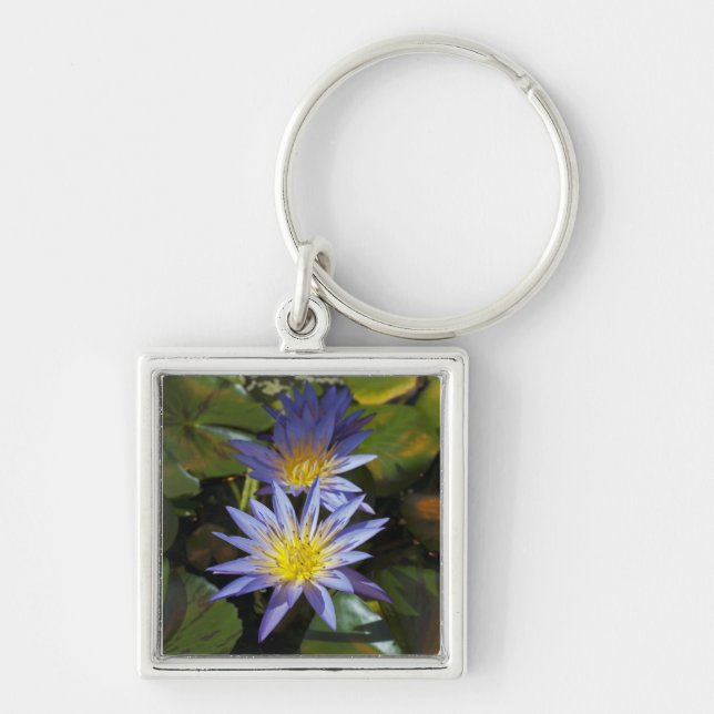 Chaveiro Desenho Botânico Floral de Nenúfar Tropical (Frente)