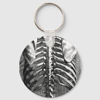 Chaveiro Desenho da coluna vertebral e ribagem
