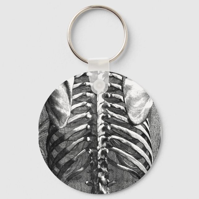 Chaveiro Desenho da coluna vertebral e ribagem (Frente)