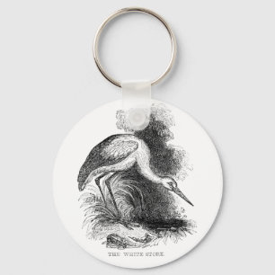 Chaveiro Desenho dos animais selvagens do pássaro do