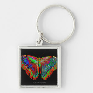 Chaveiro Design colorido da borboleta contra o contexto