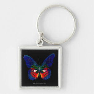 Chaveiro Design colorido da borboleta contra o contexto