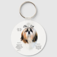 Design de História de Shih Tzu