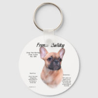 Design de História do Buldogue Francês