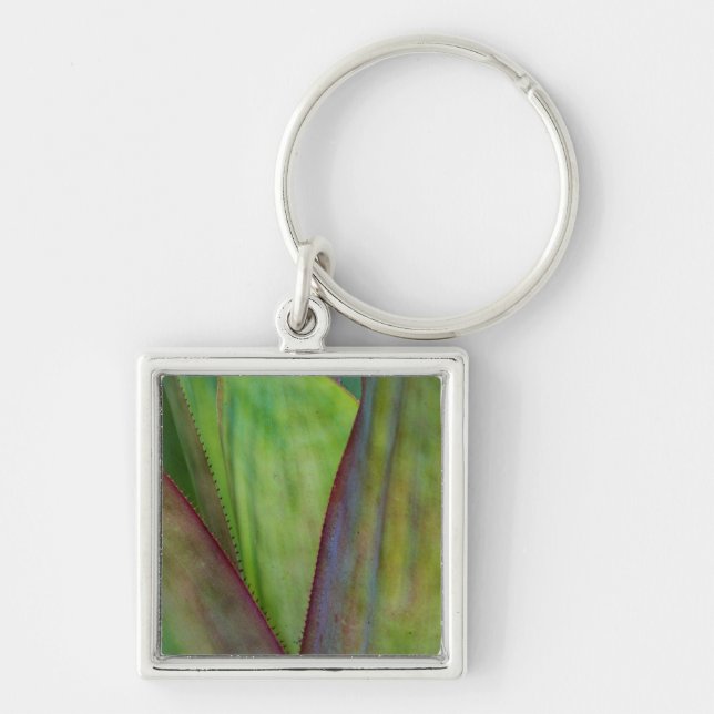 Chaveiro Detalhe da Planta Agave (Frente)