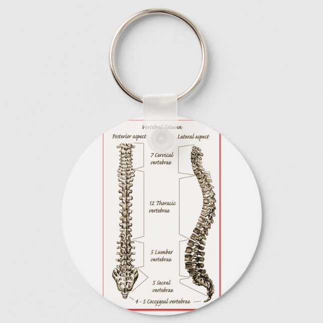 Chaveiro Detalhes da coluna Sepia2 (Frente)