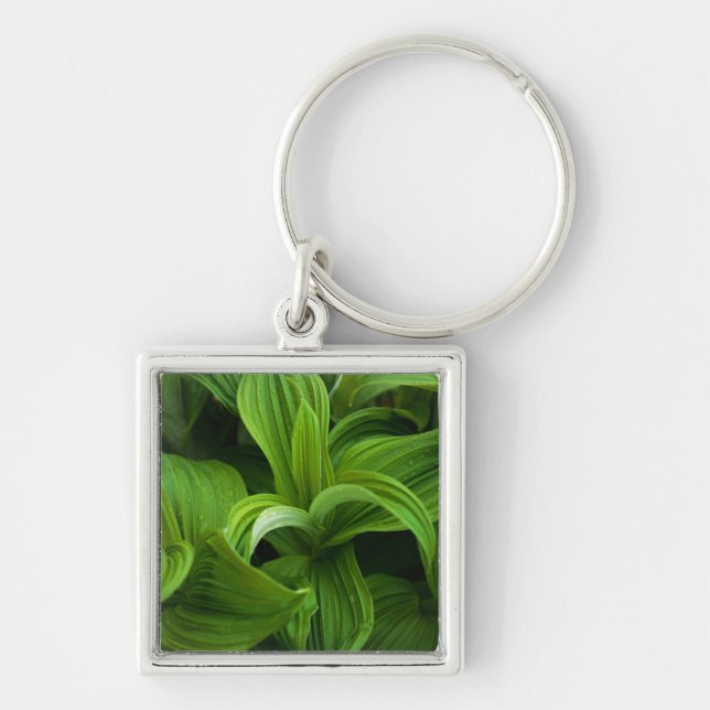 Chaveiro Dewdrops em um Helabore falso (Frente)