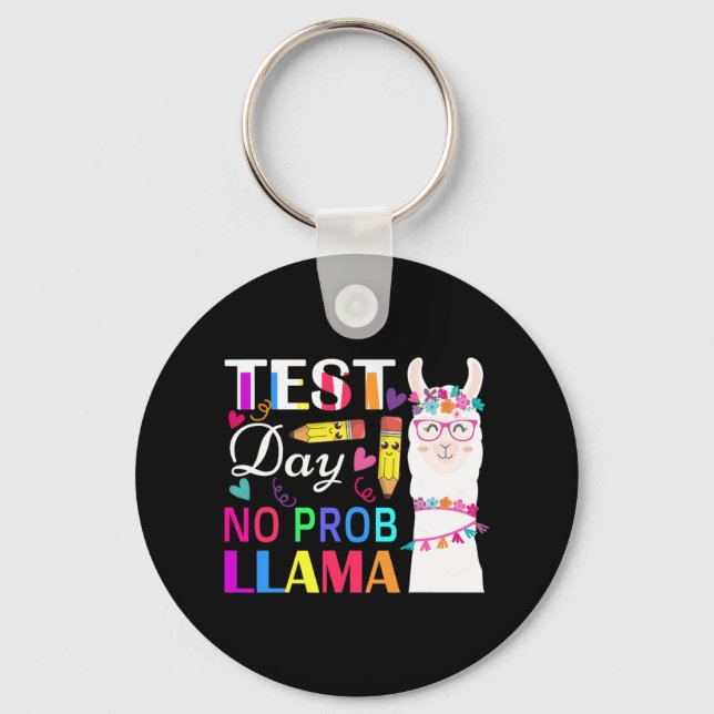 Chaveiro Dia Sem Probe Llama Engraçado Professor Testando 2 (Frente)