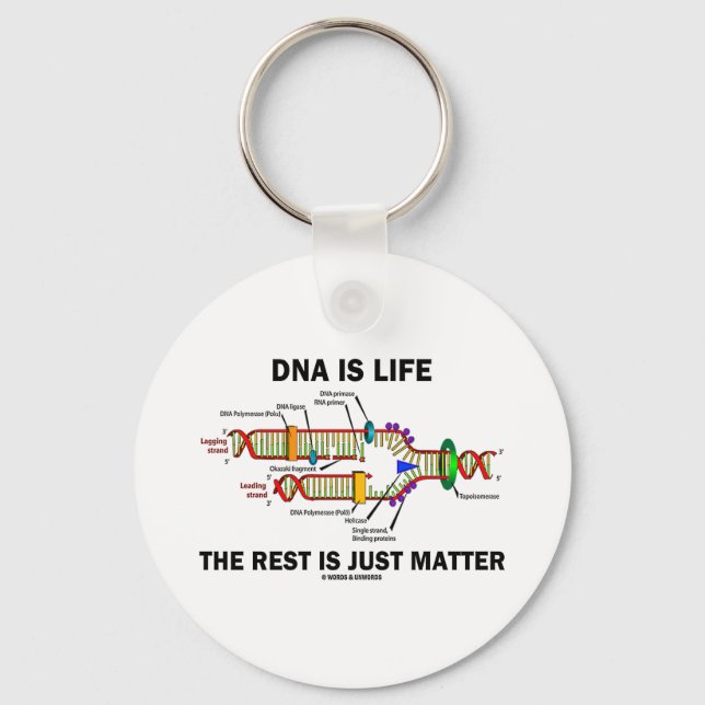 Chaveiro DNA é vida O resto é apenas matéria (DNA Strands) (Frente)