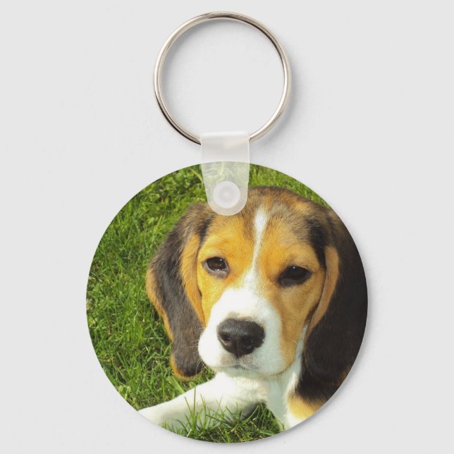 Chaveiro do Beagle (Frente)