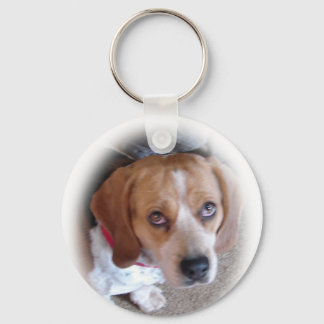 Chaveiro do Beagle
