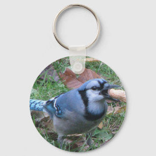 Chaveiro do Bluejay por Koobear