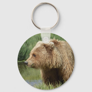 Chaveiro do botão com urso pardo