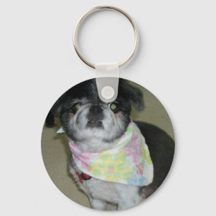 Chaveiro do cão de Personalizable