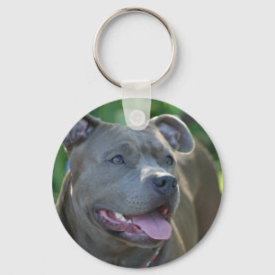 Chaveiro do cão de Pitbull