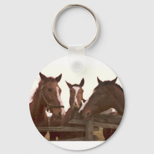 Chaveiro do cavalo