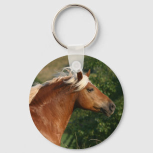 Chaveiro do cavalo de Haflinger